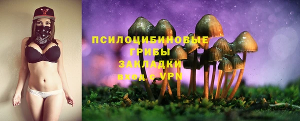 бутират Медногорск