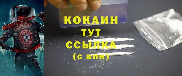 гидра Мегион