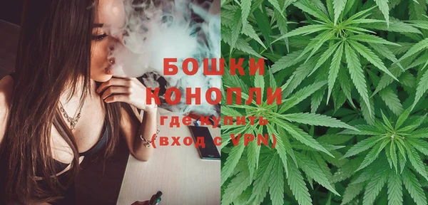 гидра Мегион