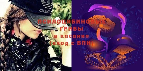 гидра Мегион