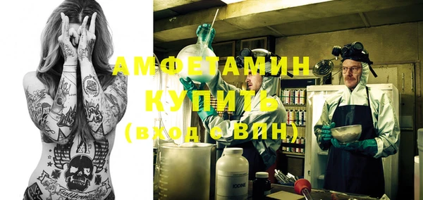 гидра Мегион