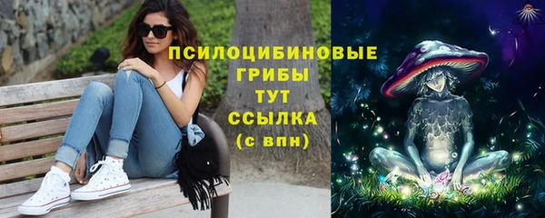 бутират Медногорск