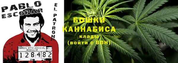 гидра Мегион