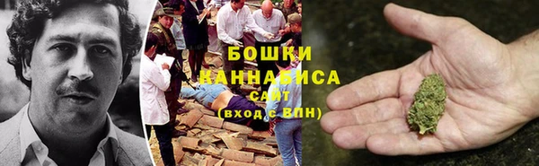 гидра Мегион