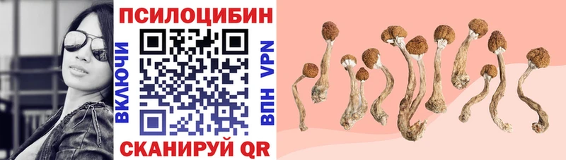 Псилоцибиновые грибы прущие грибы  Заозёрск 